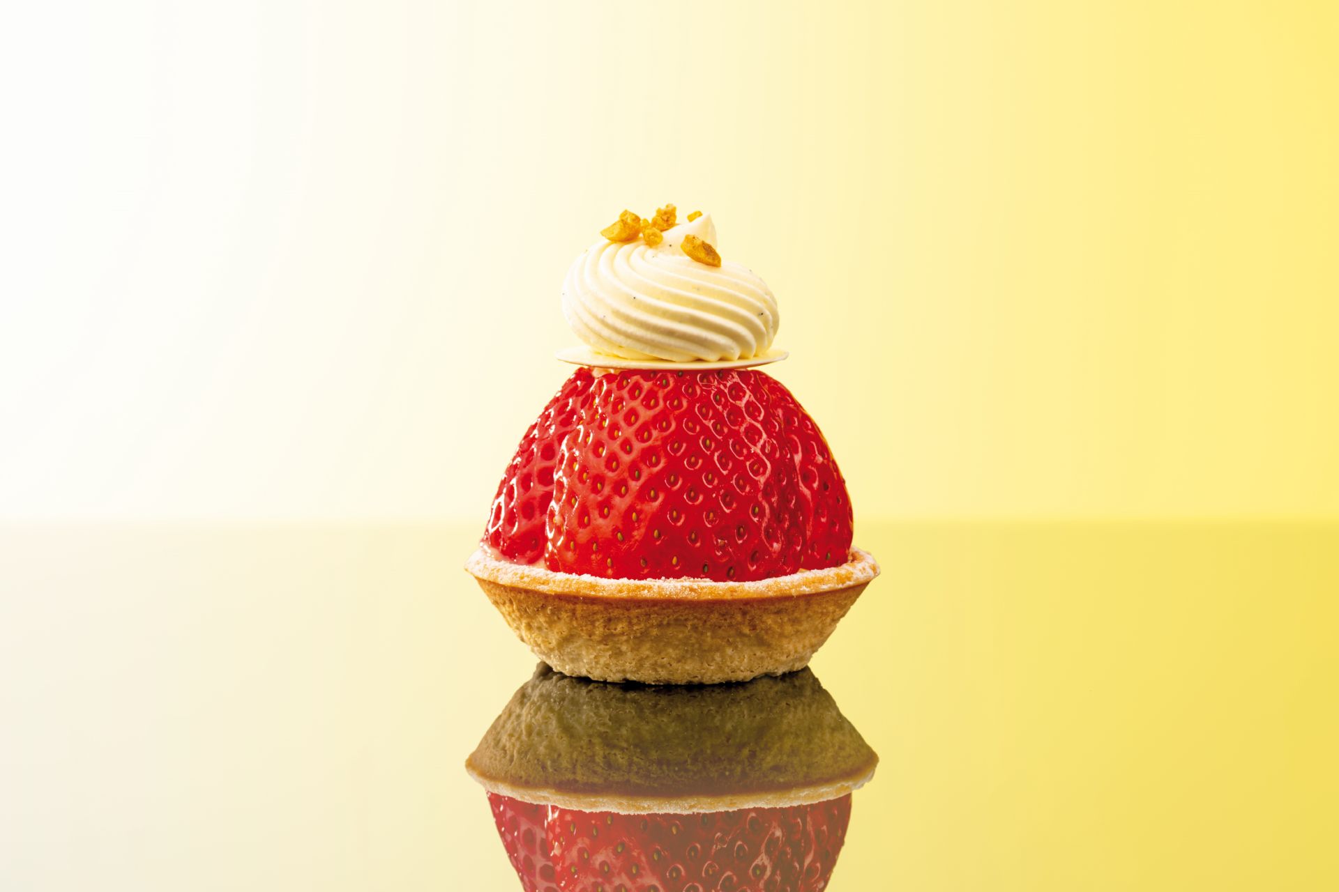 Felchlin Scuba Vanillecrèmepulver kalt